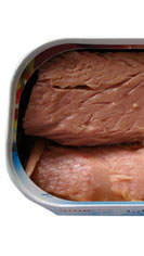 Konserven Thunfisch in Öl